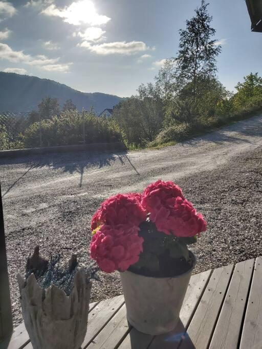 Casa Monami Leilighet I Naturen Naer Bergen Appartement Lonevåg Buitenkant foto